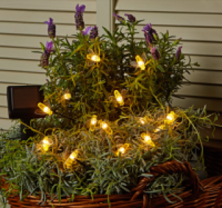 Solarlichterkette BIENE