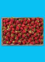 Norma  Baye­ri­sche Pre­mi­um Erd­bee­ren
