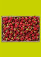 Norma  Rhein­län­der Pre­mi­um Erd­bee­ren