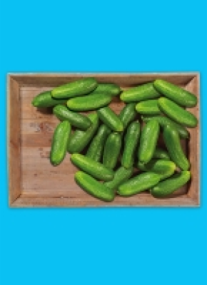 Baye­ri­sche Bau­ern­gur­ken 3.49 €