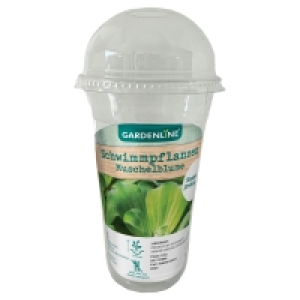 GARDENLINE Schwimm- oder Sauerstoffpflanzen 2.69 €