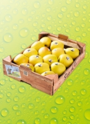 Äp­fel lo­se 1.99 €