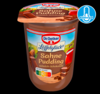 DR. OETKER Gr&uuml;tze oder Sahnepudding 1.99&nbsp;&euro;