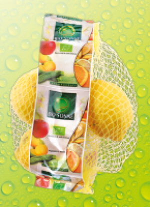 Bio-Zi­tro­nen 3.79 €