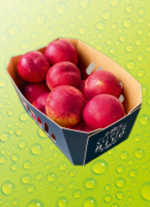 Pre­mi­um Nek­ta­ri­nen XXL 3.33 €
