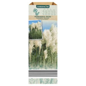 GARDENLINE Pampasgras 2.49 €