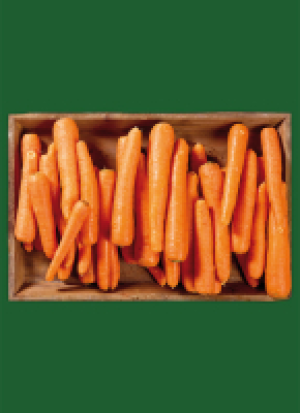 Mag­de­bur­ger Bör­de Ka­rot­ten 2.29 €