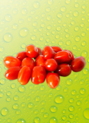Snack­to­ma­ten im Ei­mer 1.79 €