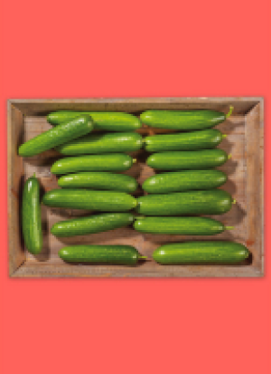 Frän­ki­sche Mi­ni Gur­ken 3.89 €