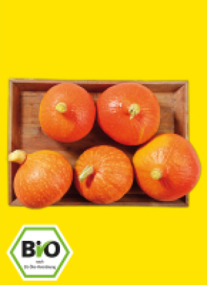 Bio-Spei­se­kür­bis aus Ba­den-Würt­tem­berg 1.59 €