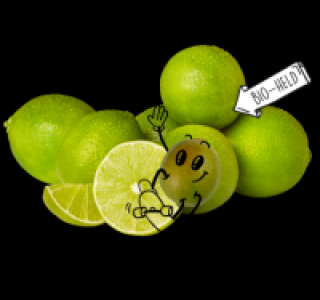 NATURGUT Bio-Limetten 1.29 €