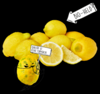 NATURGUT Bio Zitronen