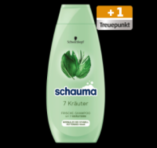 Penny  SCHAUMA Shampoo