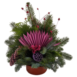 Aldi Süd  GARDENLINE Grabschale klein