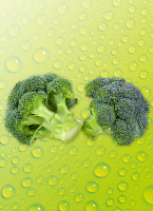 Broc­co­li 1.29 €