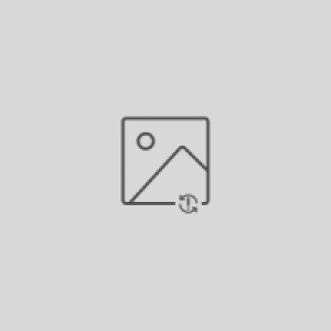 BERIDA Schlemmer­filet 2.19 €