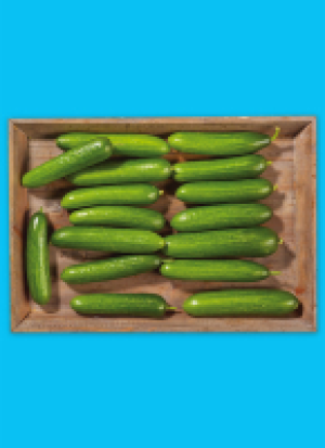 Baye­ri­sche Mi­ni Gur­ken 4.99 €