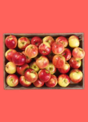 Norma  Fr&auml;n&shy;ki&shy;sche &Auml;p&shy;fel