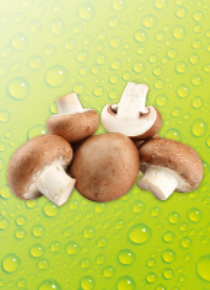 Cham­pi­gnons 1.39 €