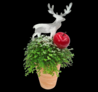 Weihnachtsbubikopf
