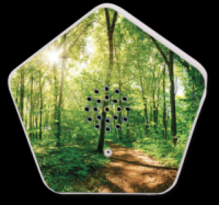 OLYMP SOUNDS OF NATURE-BOX