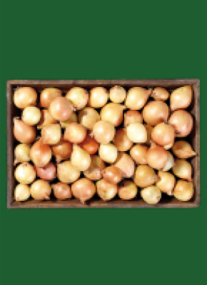 Spei­se­zwie­beln aus un­se­ren Lan­den 2.29 €