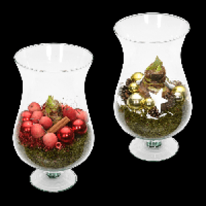 GARDENLINE Amaryllis im Glasschwenker 12.99&nbsp;&euro;