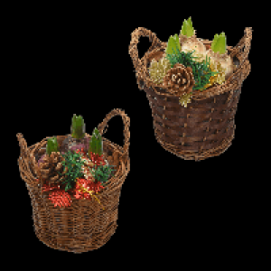 GARDENLINE Hyazinthen im Korb 2.99 €
