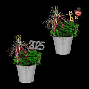 GARDENLINE Gl&uuml;cksklee 1.99&nbsp;&euro;