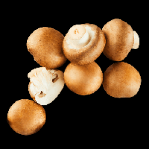 Aldi Nord  Kulturchampignons braun
