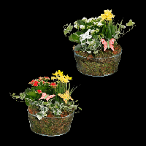 GARDENLINE Frühlingsschale 6.99 €