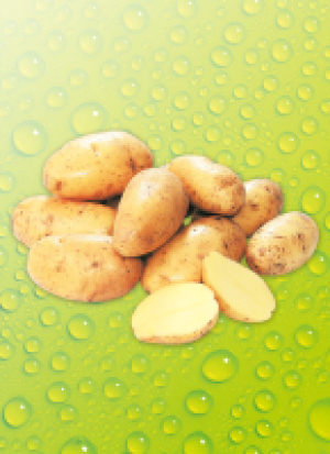 Spei­se­kar­tof­feln 1.29 €