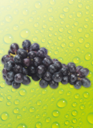River Valley Fresh Ta­fel­t­rau­ben