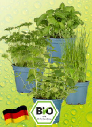 Bio Kräu­ter­töp­fe