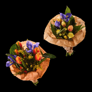 GARDENLINE Fr&uuml;hlingsstrau&szlig; 3.99&nbsp;&euro;