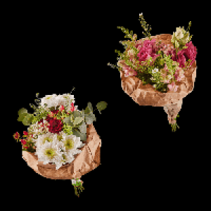 GARDENLINE Valentinsstrau&szlig; 7.99&nbsp;&euro;