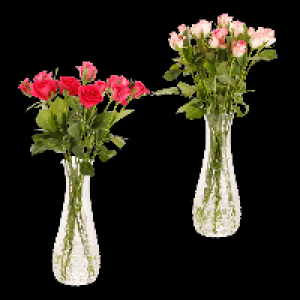 GARDENLINE Rosen 1.99 €