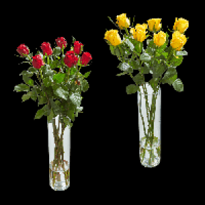 GARDENLINE Langstielige Rosen 5.55&nbsp;&euro;