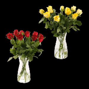 GARDENLINE Fairtrade-Rosen 2.99&nbsp;&euro;