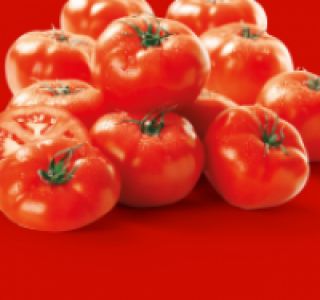 Fleischtomaten, Flandria