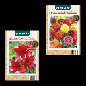 GARDENLINE Frühjahrsblumenzwiebeln 1.99 €