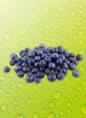 Norma River Valley Fresh Kul­tur­hei­del­bee­ren