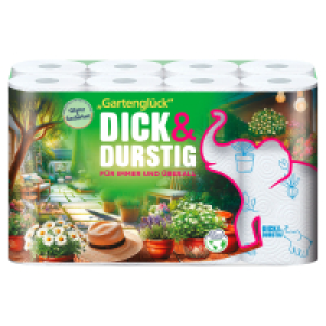 Aldi Süd  DICK & DURSTIG Haushaltstücher