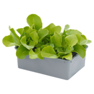 Aldi Süd  GARDENLINE Salatschalen 6er-Pack