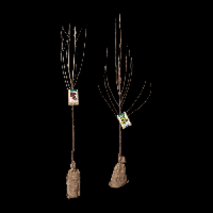 Aldi Nord Gardenline GARDENLINE Obstbaum