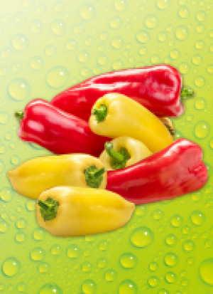 Norma Ernte Krone Fresh Spitz­pa­pri­ka Mix