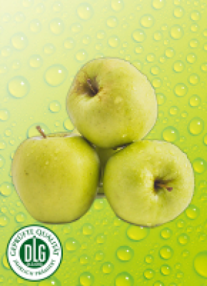 Ernteschatz Äp­fel