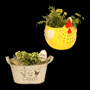 GARDENLINE Bepflanztes Ostergefäß 5.99 €