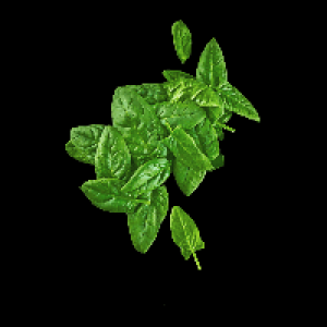 BIO Spinat