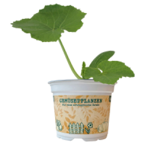 GARDENLINE Gemüsepflanzen